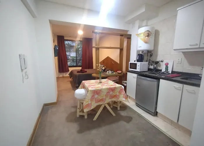Departamento Altos Mendoza Monoambiente